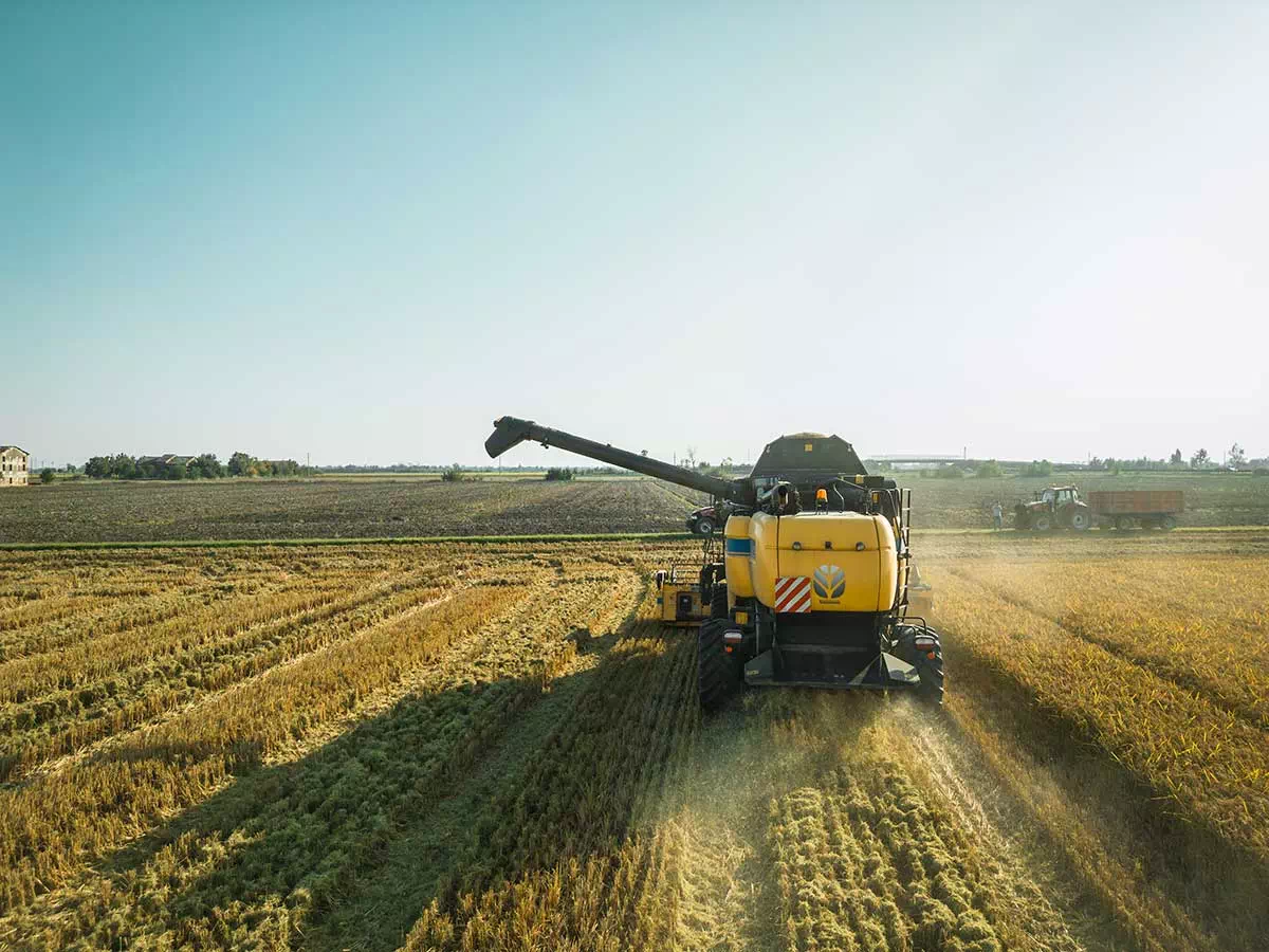 produzione-riso-italiano-etnico-azienda