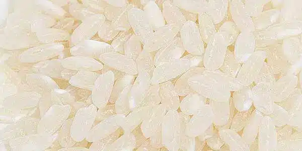 riso-RIBE-chicco-sottile-tondeggiante